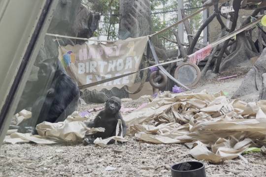 WSIB将向安大略省雇主提供20亿美元的盈余资金