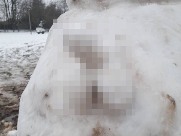 当地人在看到和孙子孙女散步的猥龊雪人后“非常厌恶”