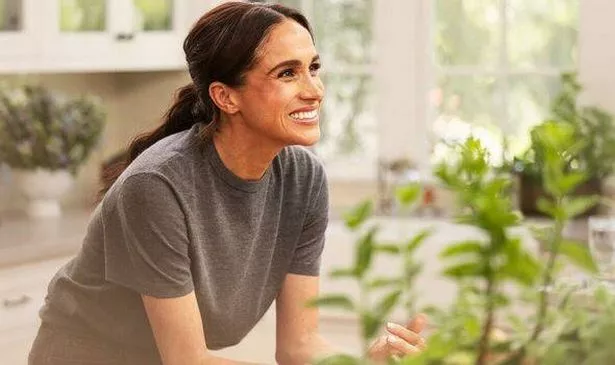 梅根·马克尔(Meghan Markle)的粉丝“请求”Netflix推出新剧第二季,尽管评论很尖刻