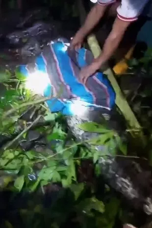 可怕的时刻,一名男子将自己兄弟的尸体从23英尺长的蟒蛇肚子里切了出来
